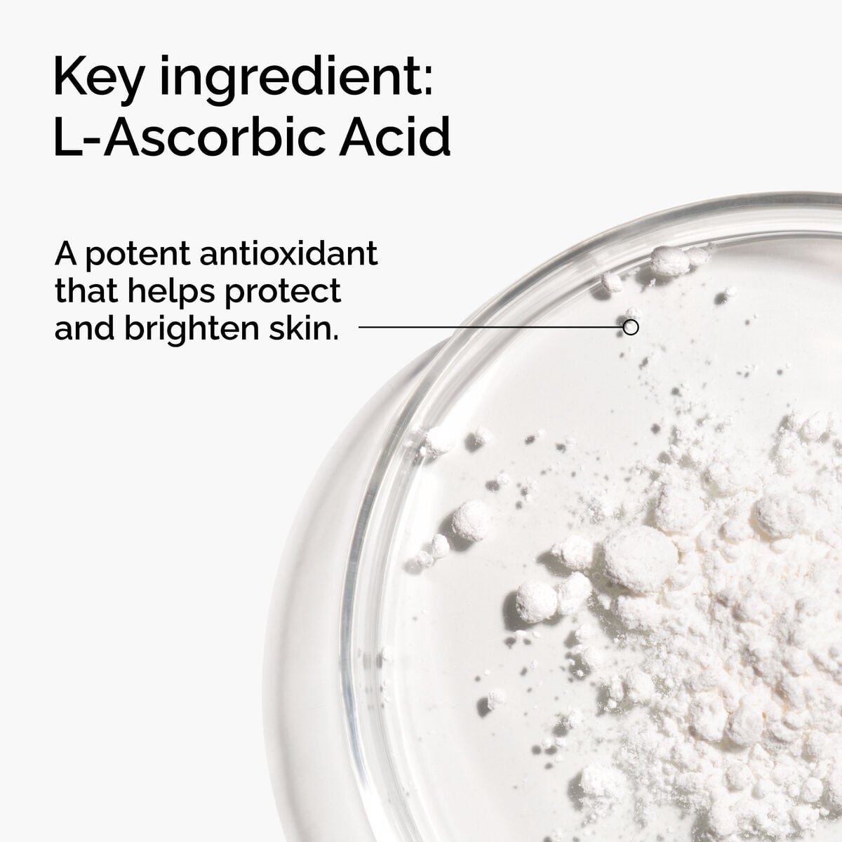 100-l-ascorbic-acid-powder-n9 FY25-D41247-ORD-Web-PDP-100-LAscb-Pwd-1x1-EN-2a.jpg