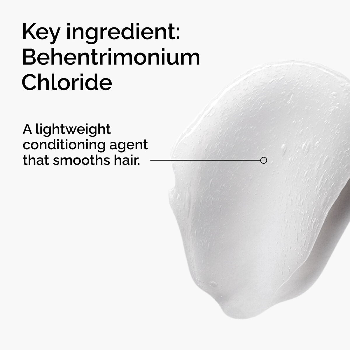 behentrimonium-chloride-2-conditioner-v1 FY25-D41247-ORD-Web-PDP-BTC-1x1-EN-2a.jpg