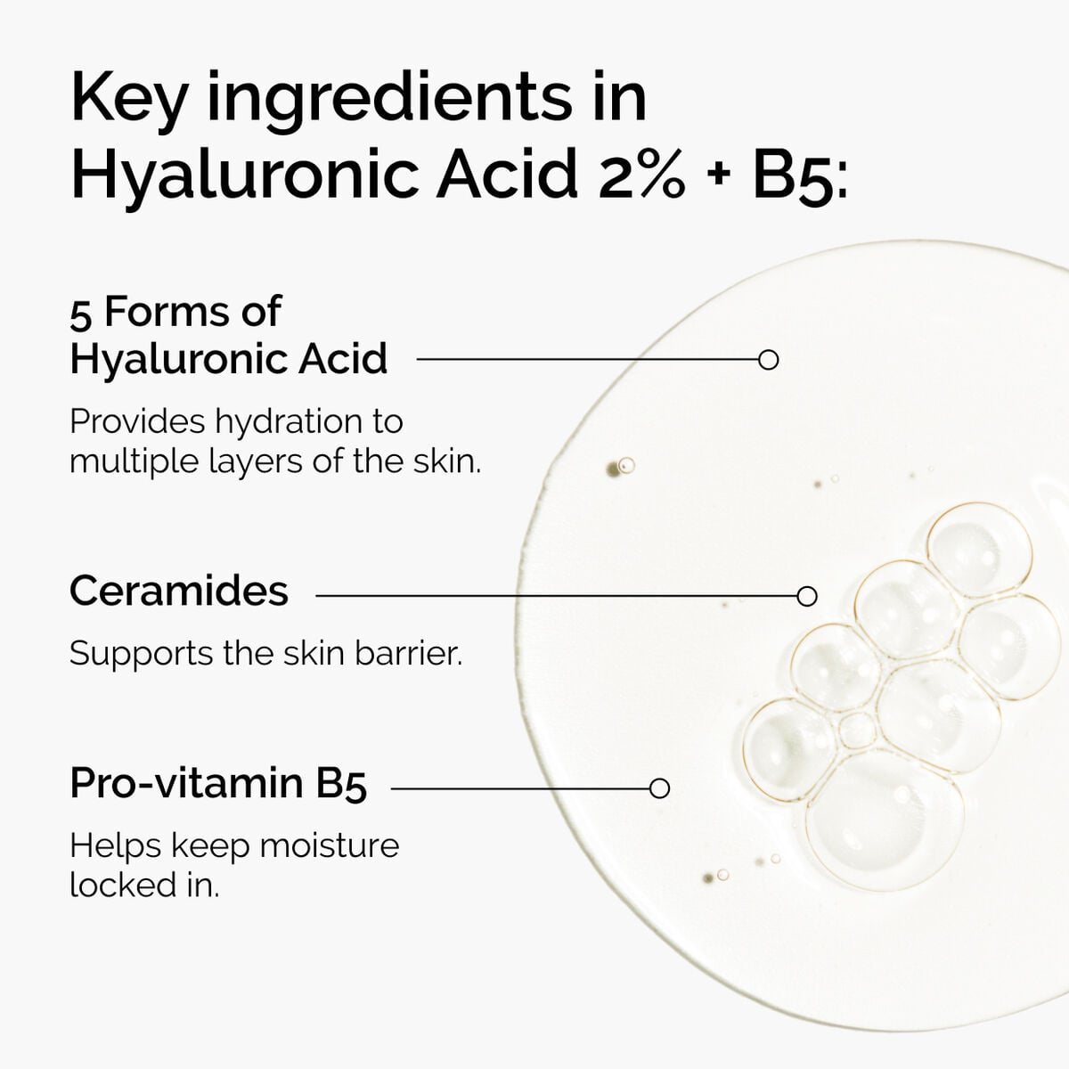 hyaluronic-acid-2-b5-with-ceramides-z4 ord-hyaluronic-acid-2pct-b5-hydrating-serum-ingredients-graphic.jpg